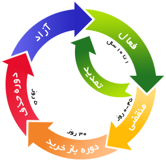 چرخه حیات دامنه 